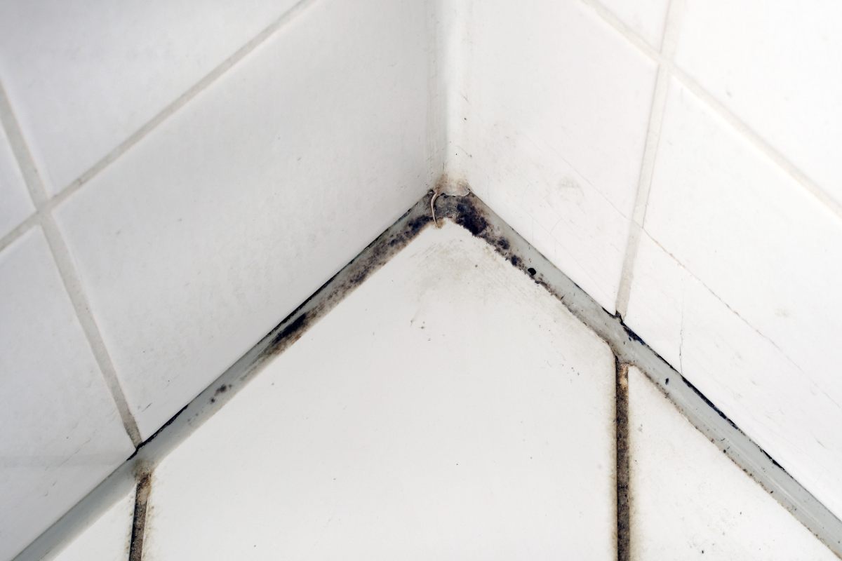 muffa pericoli salute