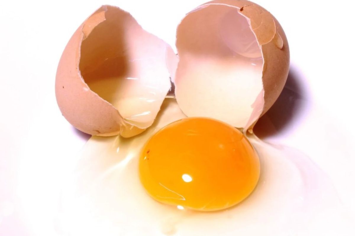 Friggitrice ad aria danneggiata