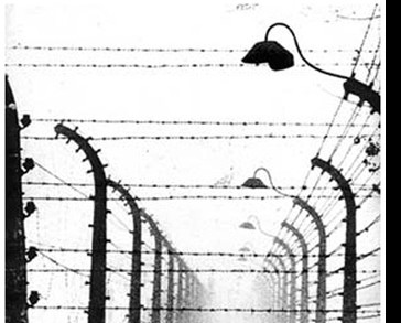 giorno della memoria shoah