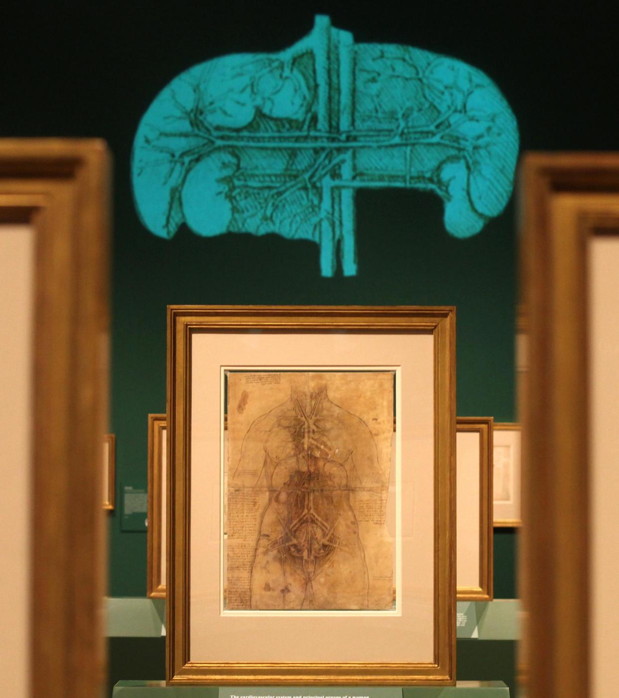 La mostra sui disegni di Leonardo Da Vinci 01