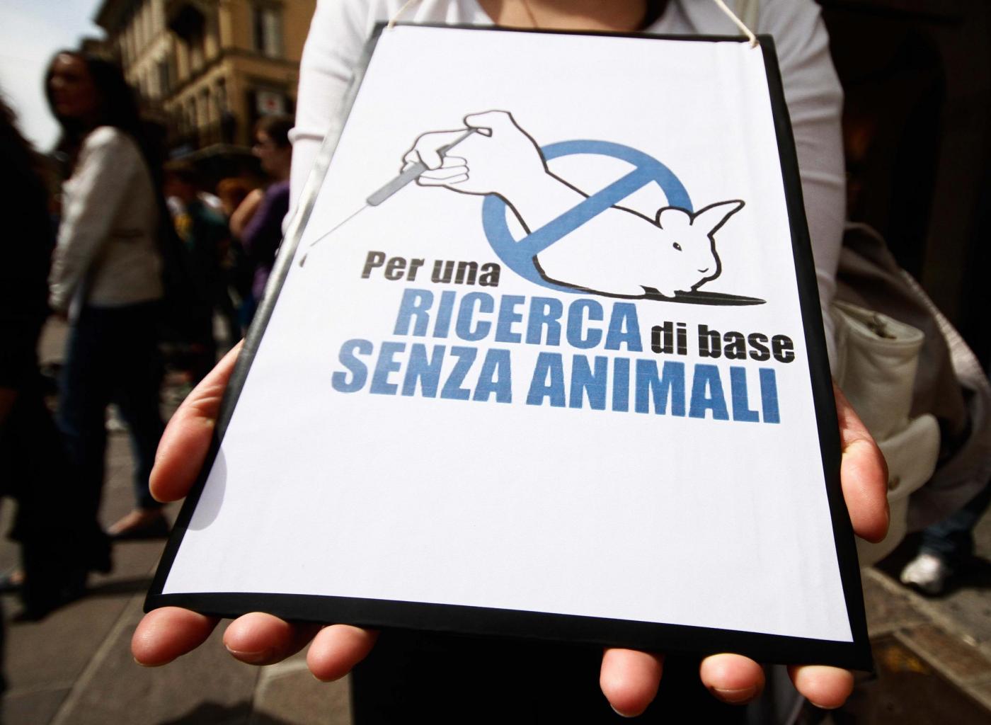 Brescia, la battaglia degli animalisti contro 'Green Hill' 02