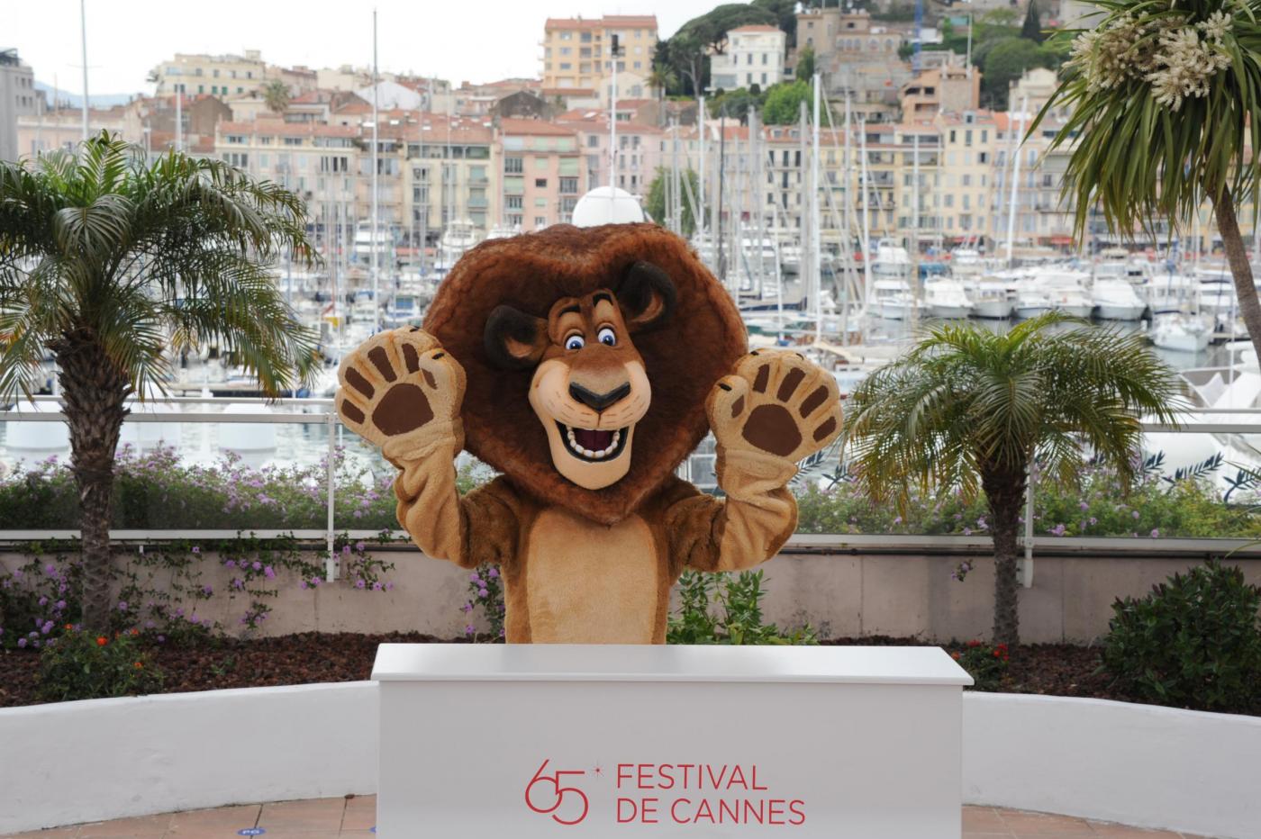 Cannes - Photocall del film ''Madagascar 3 010