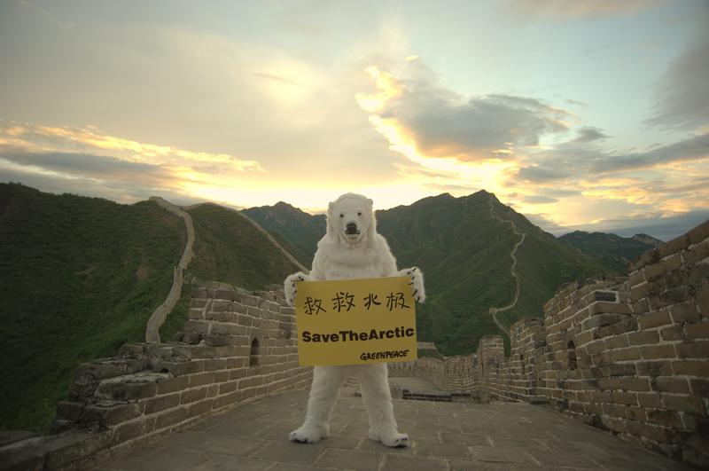 Polar Bear Climbs The Great Wall, China