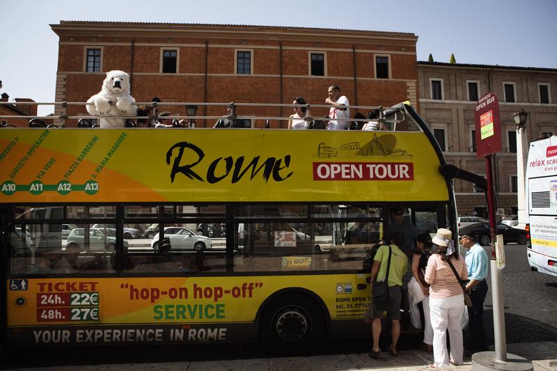 Polar Bear At Vatican City03