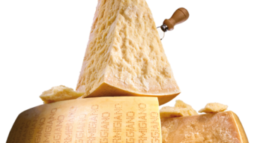 forma di formaggio