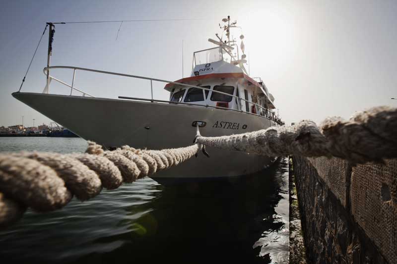 Greenpeace nel canale di Sicilia 01
