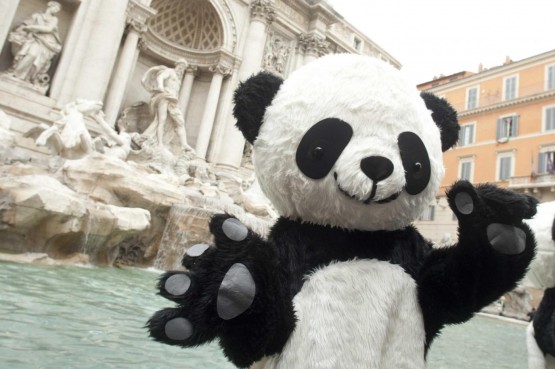 Incontra i Panda, lancio di Global Pambassador 2012 01