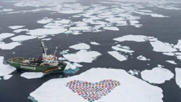 Il cuore di Greenpeace 01