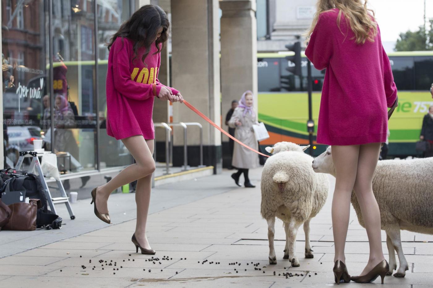 Usate la lana, pecore e modelle in giro a Londra05