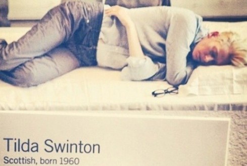 Tilda Swinton installazione 03