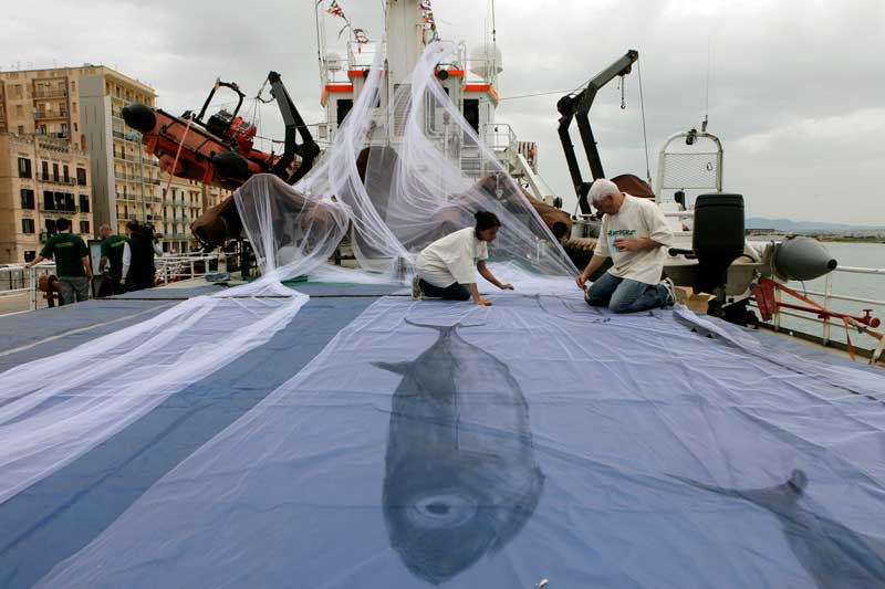 Greenpeace, al via la tappa italiana del tour sostieni chi pesca sostenibile07