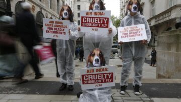 Proteste di PETA contro Air India a Londra02