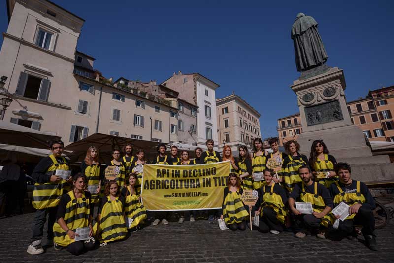 Greenpeace, sciami di api umani per dire basta ai pesticidi04