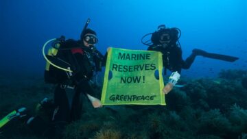 Greenpeace Divers in the Mediterranean Sea11