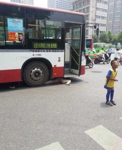 Cina: nonna finisce sotto bus, la folla pensa a scattare foto