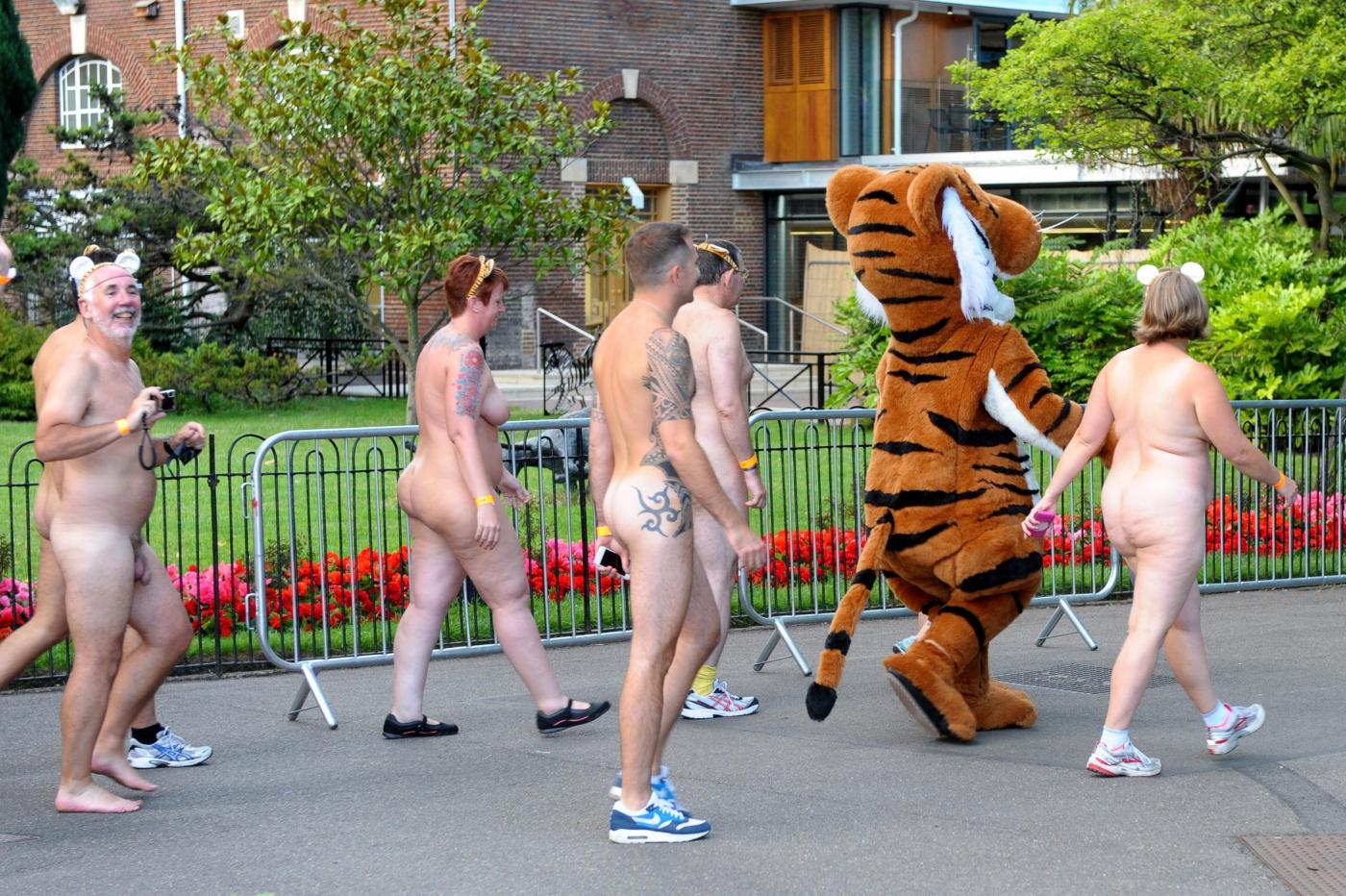 Londra Le tigri si stanno estinguendo. E corrono nudi nello zoo06