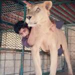 Humaid Abdalla Albuqaish e i suoi leoni impazzano le foto su Instagram13
