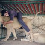 Humaid Abdalla Albuqaish e i suoi leoni impazzano le foto su Instagram10
