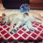 Humaid Abdalla Albuqaish e i suoi leoni impazzano le foto su Instagram08