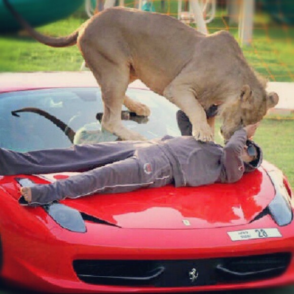 Humaid Abdalla Albuqaish e i suoi leoni impazzano le foto su Instagram07