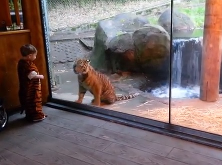 Kid_and_tiger_cub