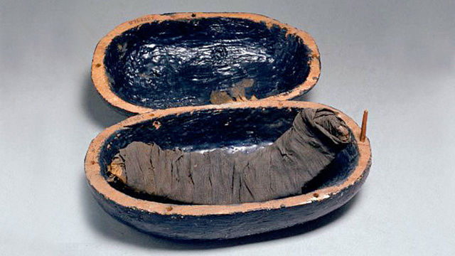 Bistecca di manzo di 3400 anni fa ritrovata nel sarcofago