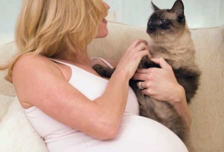 Gravidanza: animali sì o no? Verità su Toxoplasmosi e ira dei veterinari