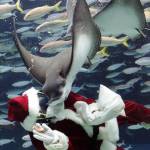 Babbo Natale versione sub all'acquario di Tokyo02
