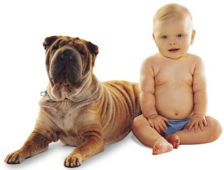 Bambini e allergie, la miglior difesa immunitaria? Un cane in casa