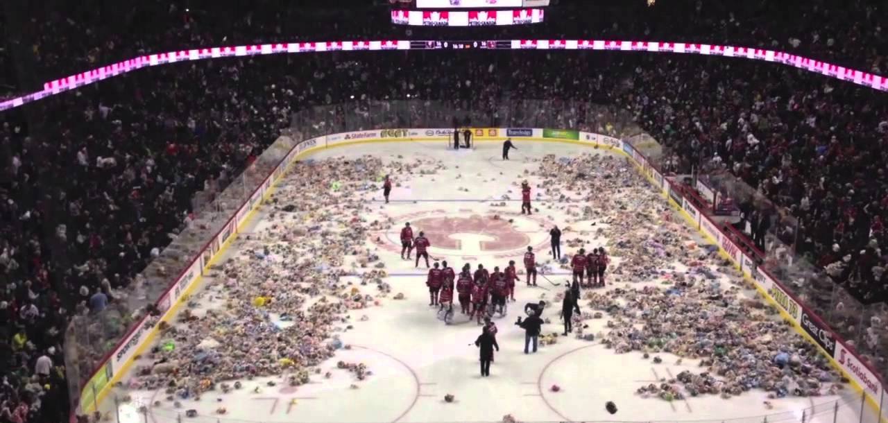 Canada, 26000 orsacchiotti in campo: è il "Teddy Bear Toss"