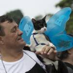 Blocao", il Carnevale dei cani di Rio de Janeiro05