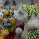 Blocao", il Carnevale dei cani di Rio de Janeiro02