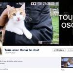 Oscar, il gattino torturato a Marsiglia diventa un eroe del web02