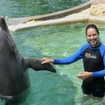 Fabio Fognini e Ana Ivanovic tra i delfini a Miami03