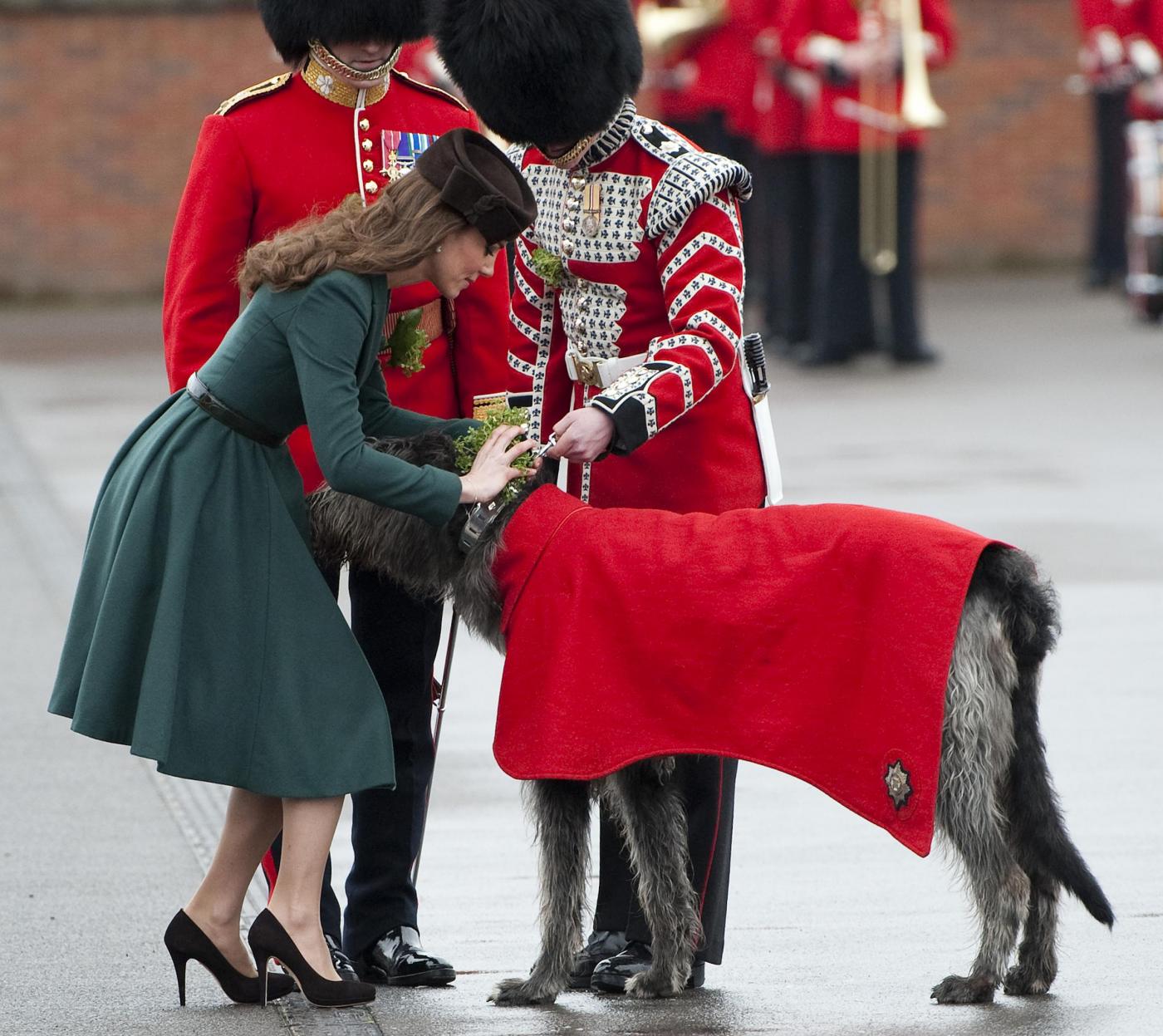 Kate Middleton rende onore al levriero per la festa di San Patrizio02