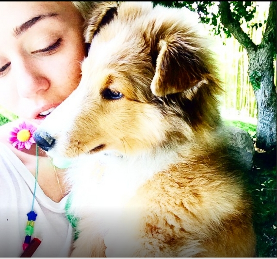 Miley Cyrus: su Instagram le foto con Emu, il suo nuovo cucciolo01