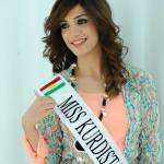 Fenk Muhammed, Miss Kurdistan e guerrigliera per la terra di nessuno