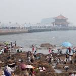 Cina, la spiaggia di Fujiazhuang è la più affollata del mondo04