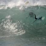 California, onde alte 10 metri: l'uragano Maria non ferma i surfisti01