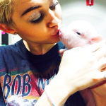 Miley Cyrus ha un nuovo amore: il maialino Bubba Sue (foto)