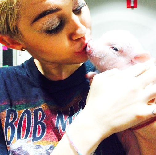 Miley Cyrus ha un nuovo amore: il maialino Bubba Sue (foto)