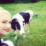 Da Madonna a Gwen Stefani: le star che non amano l'abbronzatura (foto)
