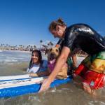 Surf City Surf Dog, al via in California la sesta edizione01
