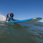 Surf City Surf Dog, al via in California la sesta edizione6