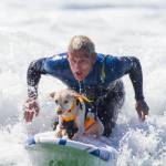 Surf City Surf Dog, al via in California la sesta edizione13