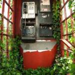 Green and Red Telephone Box, vincitore nella categoria 'Gran Bretagna botanica. Foto di Philip Braude