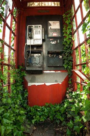 Green and Red Telephone Box, vincitore nella categoria 'Gran Bretagna botanica. Foto di Philip Braude