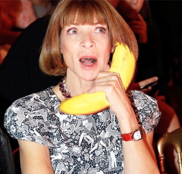 Anna Wintour con l'orso, la banana...eccola come non l'avete mai vista (foto)