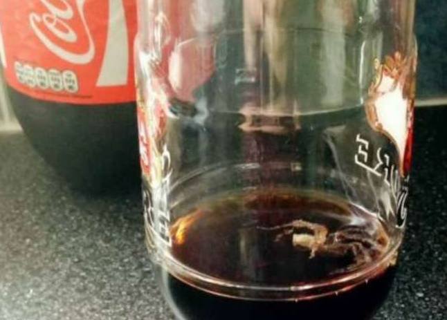 Un ragno nella bottiglia di Coca Cola, se ne accorge dopo averla bevuta tutta