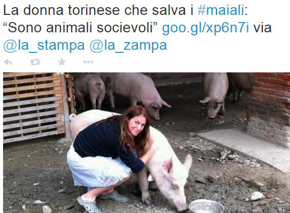 Torino, la donna che alleva "maiali da compagnia" FOTO